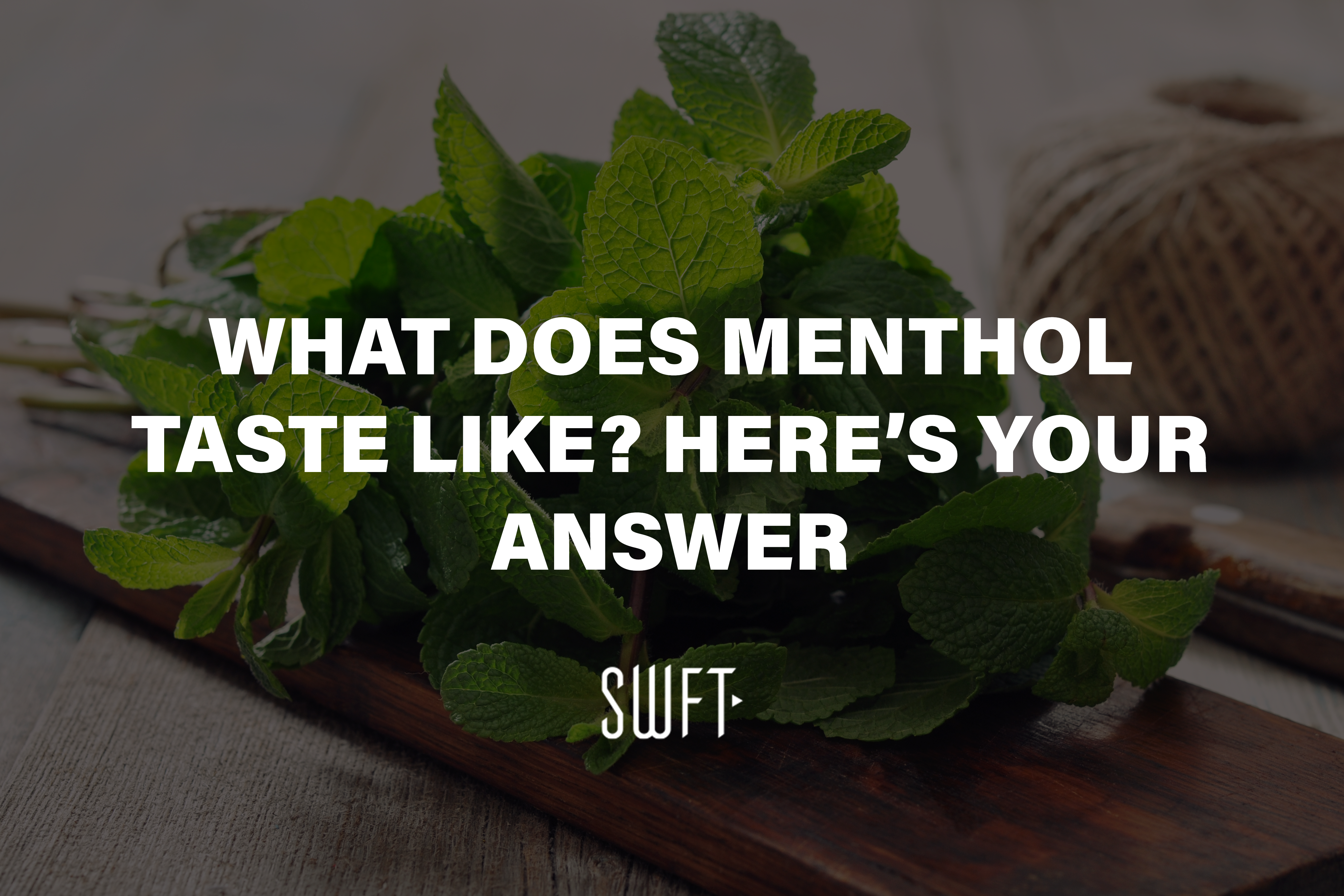 What Does Menthol Taste Like? Here’s Your Answer